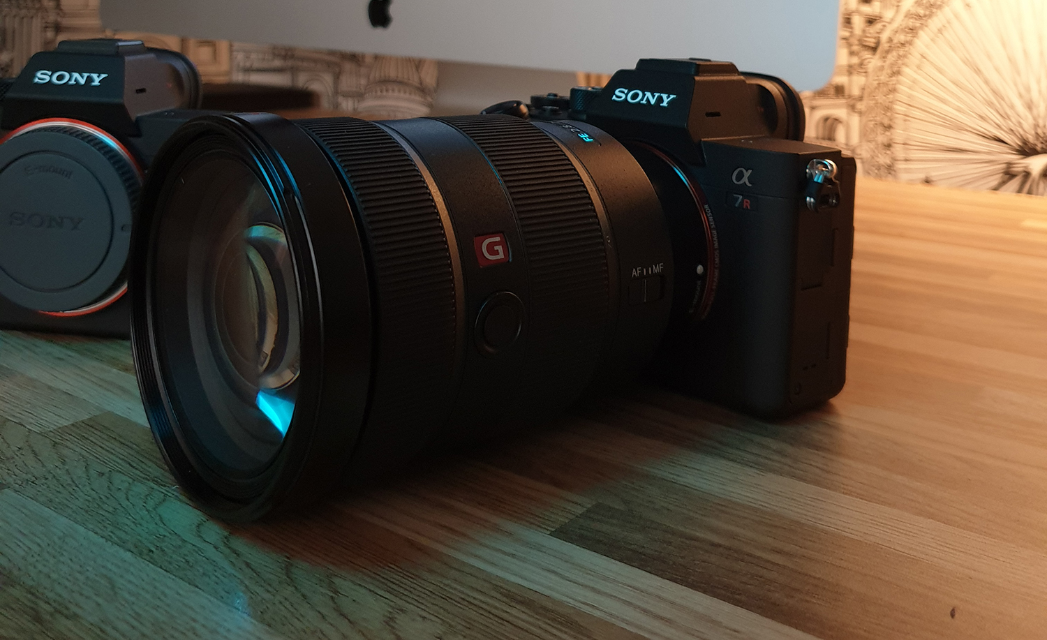 Sony A7R4 - Sony A7RIV